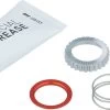 Dt-swiss Kit D'Entretien Pour Roue Libre EXP -Composants De Vélo 413603