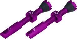 Set De 2 Valves Tubeless Chris King Edition MK2 -Composants De Vélo 421872