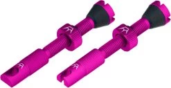 Set De 2 Valves Tubeless Chris King Edition MK2 -Composants De Vélo 421876