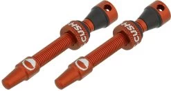 CUSHCORE Set De 2 Valves Tubeless 44 Mm -Composants De Vélo 425155